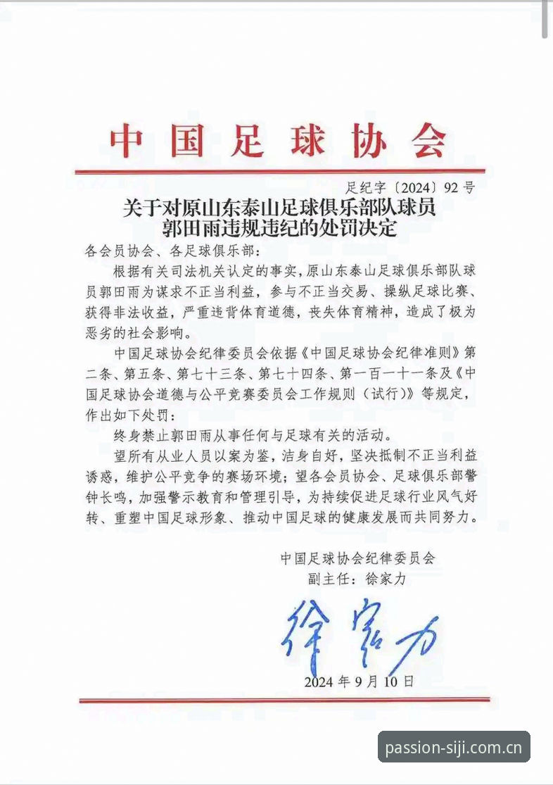 中国足协第三批禁足名单详解：17人终身禁赛，48人遭重罚